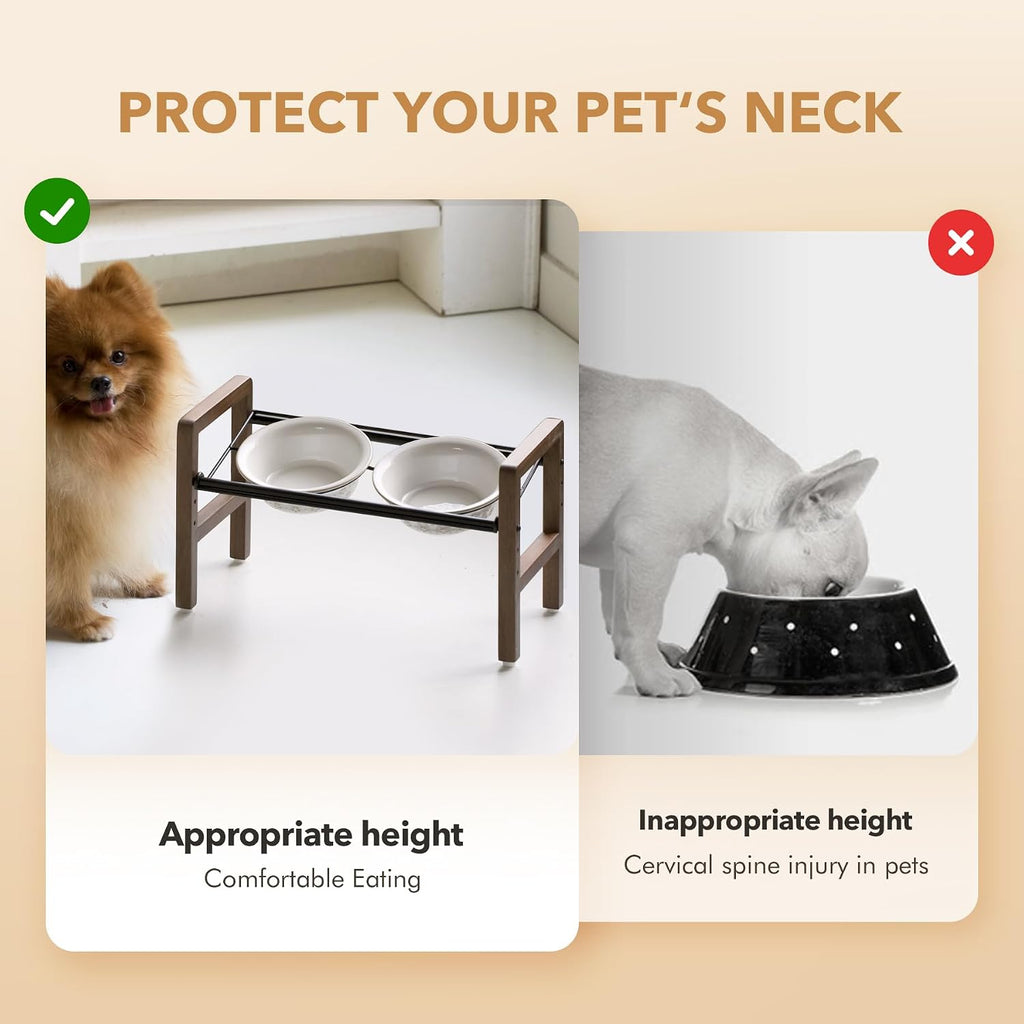 6.3inch Ceramic Adjustable Raised Double Bowls Set with Stand  3 Heights Elevated  2 Placement Options Food and Water Bowls for Adult Cat Small and Medium Dog(Reactived Glaze -White)
