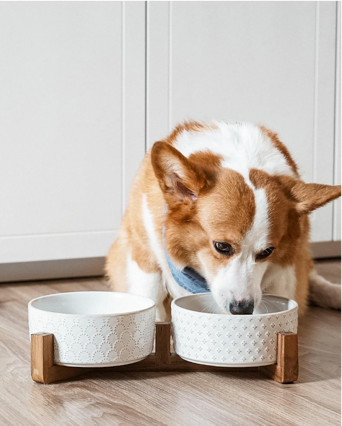 LE TAUCI Dog Bowl Set with Acacia Wood Stand - 1.5-Cup Ceramic Puppy Bowls for Small Dogs  Dual Food and Water Bowls with Weighted Non-Slip Base